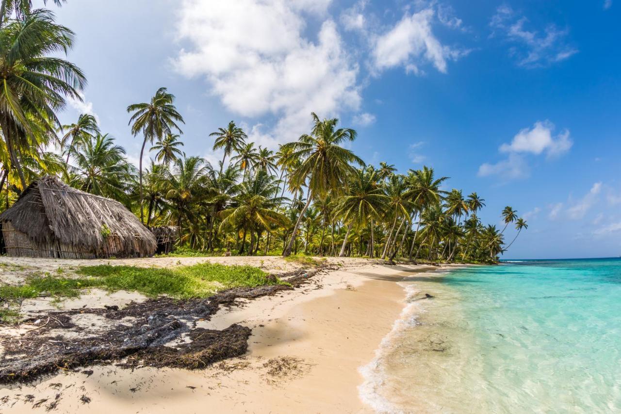 Bed and Breakfast San Blas Wild Mamartupo Exteriér fotografie